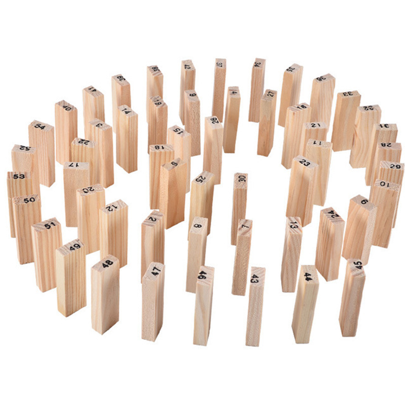 54Pcs Building Blocks Toy Funn - Woodworking Domino 评论和价格