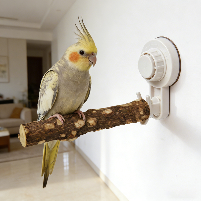 Parrot Stand with Suction Cup  - Woodworking Joints 评论和价格