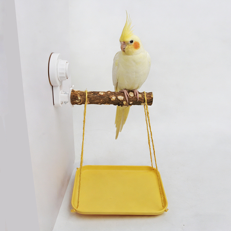 Parrot Stand with Suction Cup  - Woodworking Joints 评论和价格